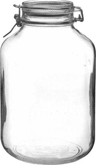 Bormioli Rocco Fido Glass General Use Vase with Airtight Lid 5000ml