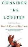 Consider The Lobster, Eseuri și argumente