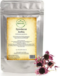 Nostos Pure Blossom Echinacea 1000gr