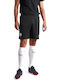 OFI Teamrise Shorts Style Football