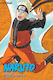 Naruto (3-in-1 Edition), Vol. 19 : Includes Vols. 55, 56 & 57 Vol. 19