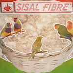 Sisal Fibre Birds Nest Juta Coton