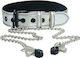 Lovetoy Collar with Nipple Clamps BDSM Kit σε Ασημί Χρώμα