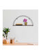 Raft Perete Negru 60x15x30cm