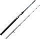 Pregio Rider Fishing Rod for Vertical Fishing 1.60m 100-150gr