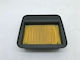 Motorrad-Luftfilter Yamaha CRYPTON-X135