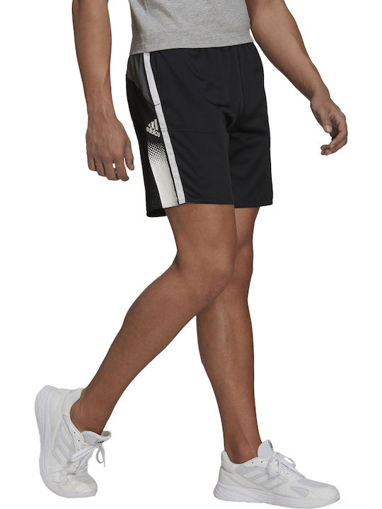 Adidas Aeroready Designed To Move Sportliche Herrenshorts Schwarz