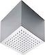 Interflex Sidney Platz Duschkopf 20x20cm