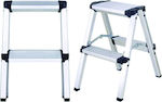 Prostep Ladder Aluminum with 2x2 Steps