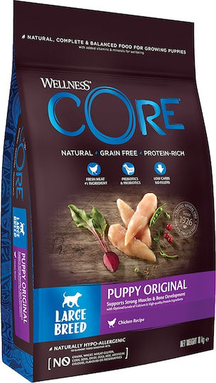 Wellness Core Puppy Original Large Breed 10kg Dry Food Grain-Free for Large Breed Puppies with Turkey and Chicken