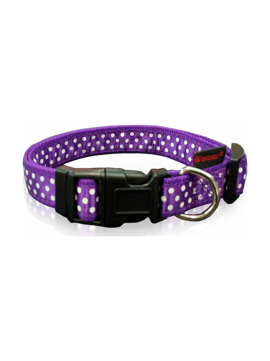 Pet Interest Dots Line Dog Collar In Purple Colour Large 25mm x 47 - 70cm