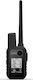 Garmin Alpha 10