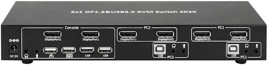 Techly IDATA-DP-KVM2 KVM & Data Switch