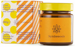 Symbeeosis Βιολογικό Μέλι Turmeric 280gr