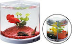 Dophin Mini Betta Fish Aquarium Capacity 2lt with Lighting and 18x10x17cm.