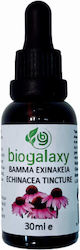 Biogalaxy Echinacea Tinktur 30ml Biogalaxy Echinacea Tinktur 30ml