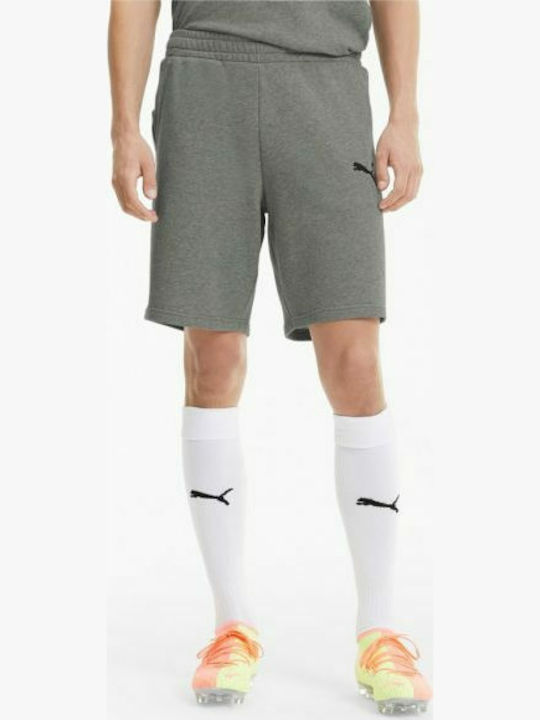 Puma Teamgoal 23 Sportliche Herrenshorts Gray