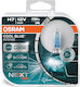 Osram Lamps Car & Motorcycle Cool Blue Intense H7 Halogen 5000K Cold White 12V 55W 2pcs