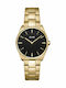 Cluse Feroce Petite Women's Watch with Gold Metal Bracelet