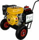 Agelis Roată Generator Recoltare Măslini cu Motor Lianlong și Dinam 70A