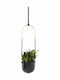 Umbra Bolo Hanging Planter Ceramic Black 15.9x15.9x62.2cm. Pendant