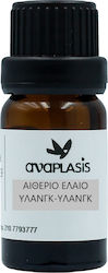 Anaplasis Υλάνγκ Υλάνγκ Αιθέριο Έλαιο Ylang-ylang 10ml Anaplasis Υλάνγκ Υλάνγκ Αιθέριο Έλαιο Ylang-ylang 10ml