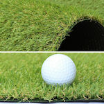 Synthetic Turf Morea in Roll with 2m Width and 20mm Height (price per sq.m)