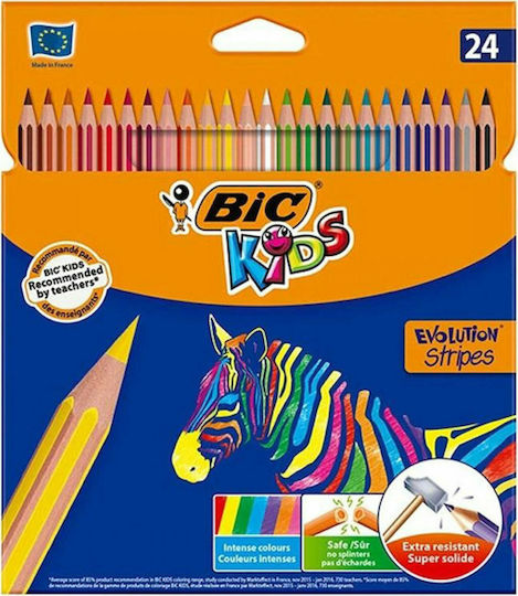 BIC Kids Evolution Stripes Colored Pencil Set Package of 1 packages