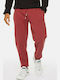 Sweatpants with Elastic Red