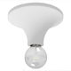 Spot Light Πλαφονιέρα Οροφής 16εκ. Λευκή με Ντουί GU10