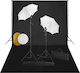 vidaXL Kit De Iluminare 24W 5500K Cu Trepied