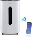 Rohnson Dehumidifier 20lt with Ionizer and Wi-Fi