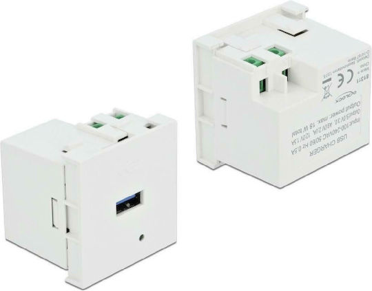 DeLock Easy 45 Χωνευτή Πρίζα με 1 Θύρα USB Λευκή