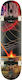 Globe Rapid Space Complete Shortboard 8.25" Multicolour