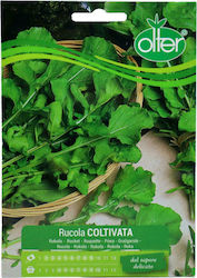 Rucola Coltivata Saatgut Olter | 1 Stück