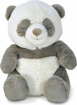 Cloud b Plush Bear Peaceful with Sound