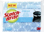 Scotch Brite Fresh Σετ Σφουγγάρια Πιάτων Μπλε 2τμχ