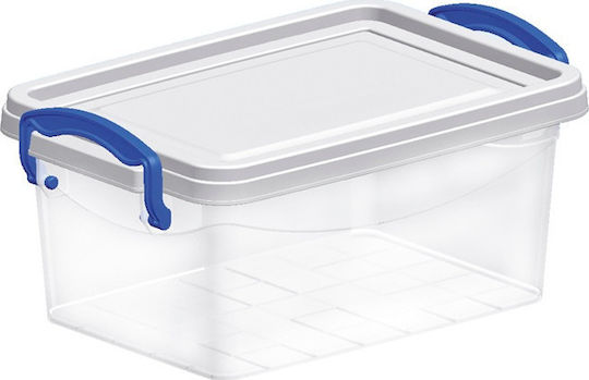 Viosarp Plastic Cutie de Depozitare cu Capac Transparent 43x28x18cm 1buc