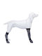 Trixie Protective Silicone Socks Socks Dog for Medium & Large Breeds Large 10cm/40cm in Gray Color