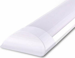 Lucas LED Kommerzielle lineare Beleuchtung Leuchte Decke 18W Naturweiß IP20 B60xT7.5xH2.5cm Lucas LED Kommerzielle lineare Beleuchtung Leuchte Decke 18W Naturweiß IP20 B60xT7.5xH2.5cm