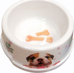 AGC Plastic Bowl Food & Water for Cat 240ml in White Color