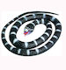 Wild Republic Serpiente Calif King Rubber Snake 66εκ.
