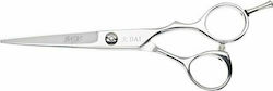 Aristocut DAI Hair Cutting Scissors 6 Inches