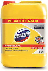 Domestos Professionell Bleichgel mit Duft Zitrusfrisch 5lt