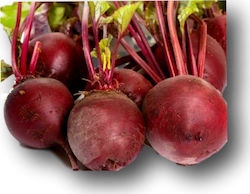 Hazera Detroit 3 Seeds Beetroot 500gr