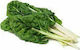 Evotris Seeds White Beet Broadleaf 25gr