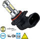 GloboStar Lampen Auto 3rd Generation Extreme Series H10 Canbus LED 6000K Kaltes Weiß 12V 6W 1Stück