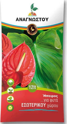 Plant Soil for Indoor Flowering and Green Plants 12lt