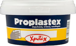 Χρωτέχ Proplastex Στόκος Γενικής Χρήσης Χρωτέχ Proplastex Στόκος Γενικής Χρήσης