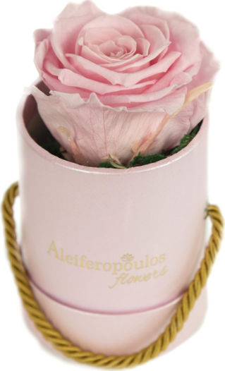 Παντοτινό Τριαντάφυλλο Ροζ σε Κουτί Aleiferopoulos Flowers